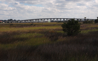 [In the distance is a bridge arching across the entire image. There are a series of supports below the roadway which is the top of the structure. The foreground is mostly grasses.]